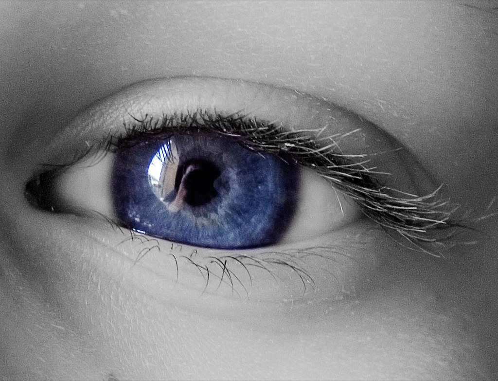 Editorial close-up of a styled eye