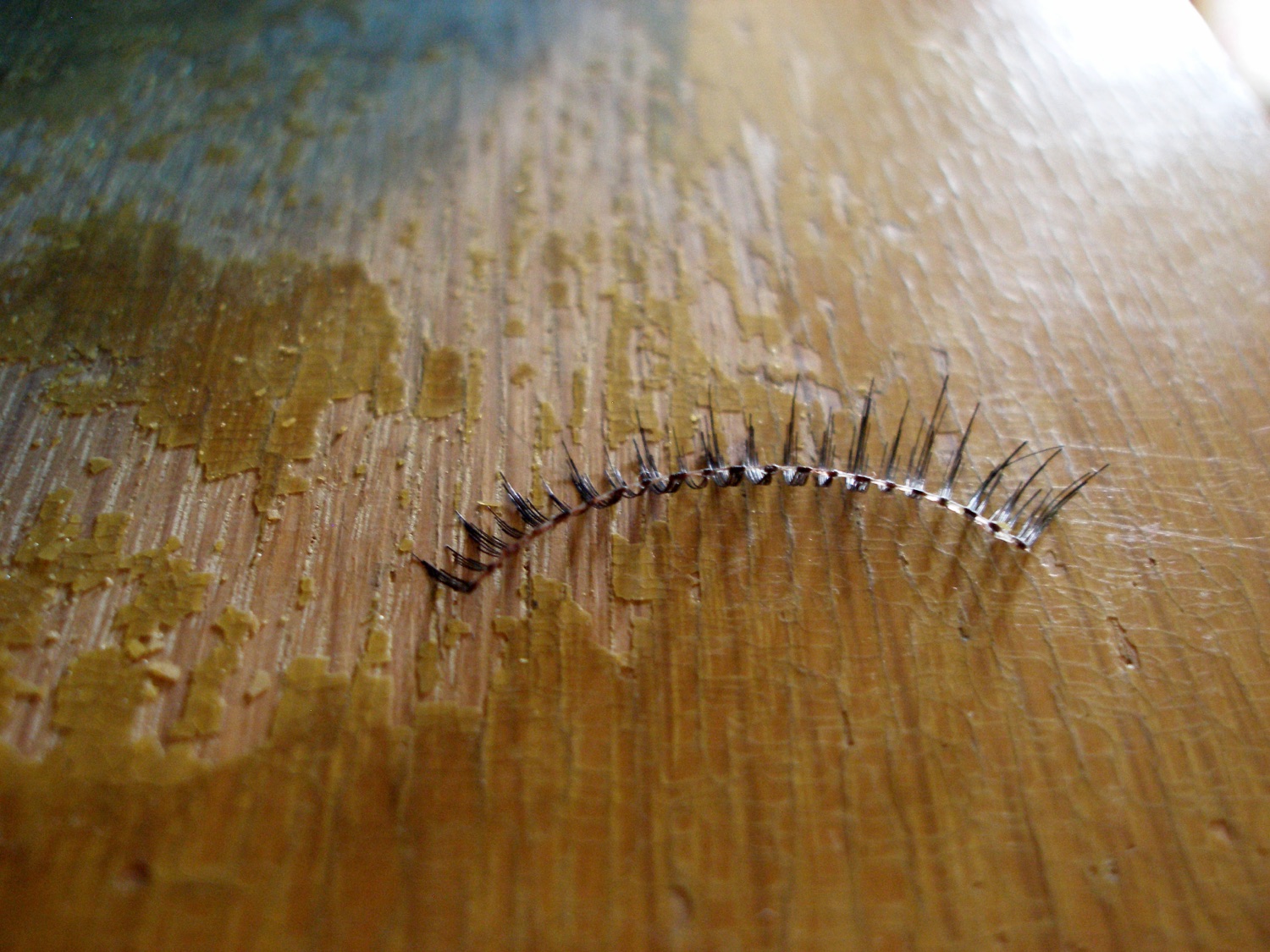 A pair of strip lashes on a light surface